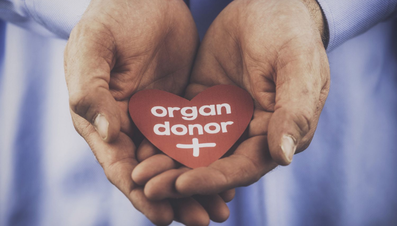 Department Of Organ Donation