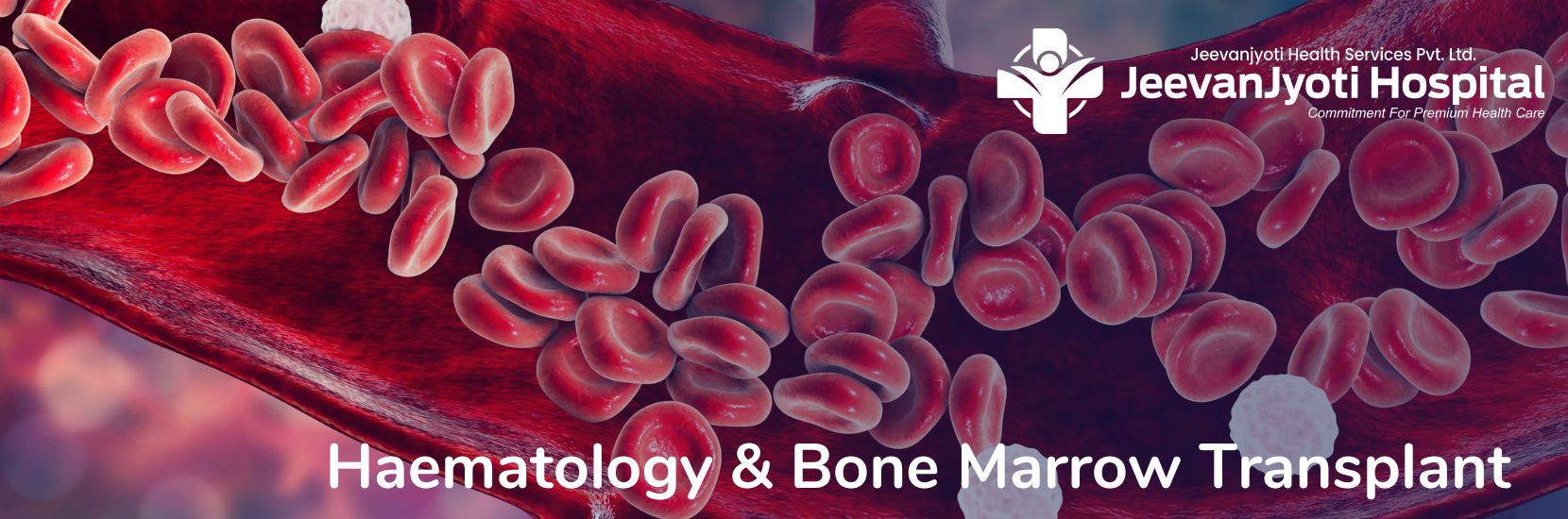 Haematology Bone Marrow Transplant